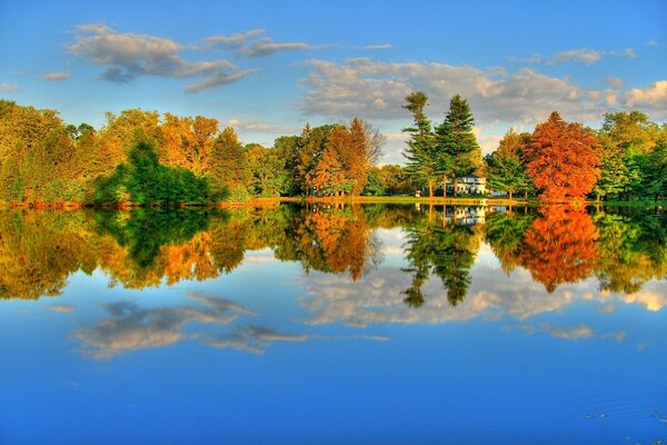 Autumn landscape with lake and trees