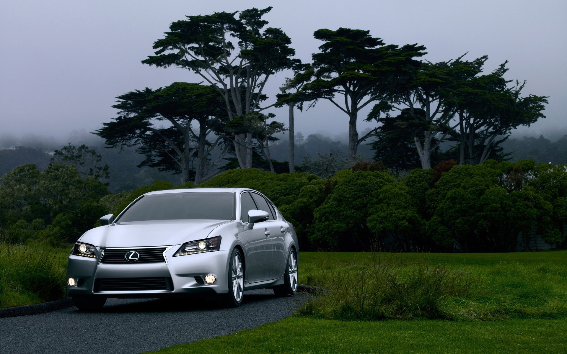 lexus car vehicle tree landscape travel road transportation system lexus gs 350