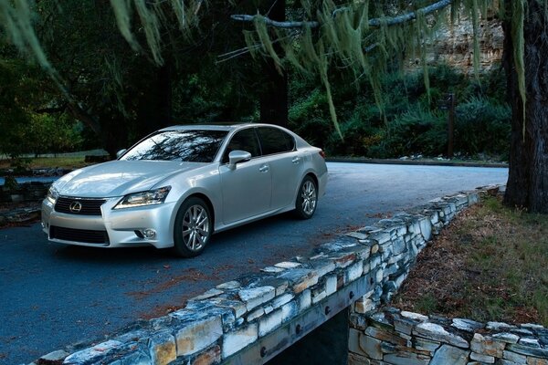 Lexus rides on the bridge under the trees