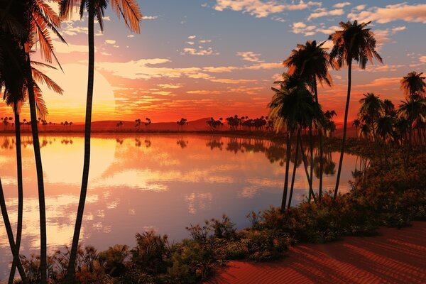 Tropical sea sunset with palm trees