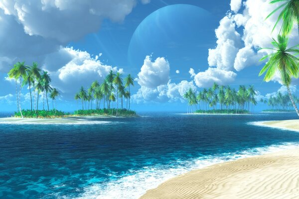 Пейзаж тропического пляжа. Пальмы