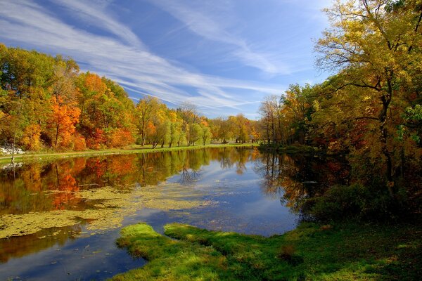 Paisaje del bosque de otoño con el río