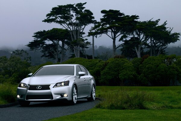 Paysage brumeux et Lexus