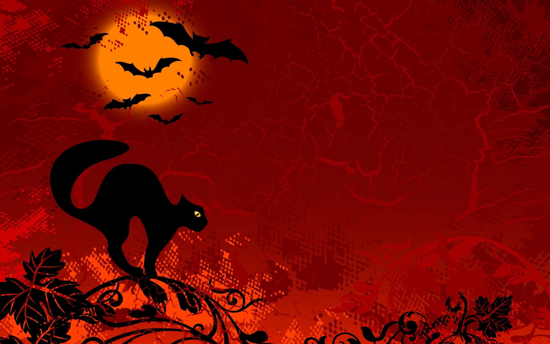 drawings desktop silhouette illustrazione fiamma design arte astratto halloween natura scuro pericolo nero notte di halloween disegno del gatto