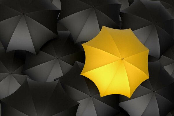 Contrast. Yellow umbrella on a black background