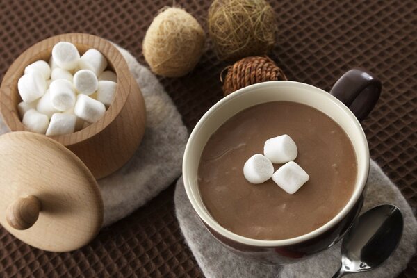 Tasse de chocolat chaud avec guimauve