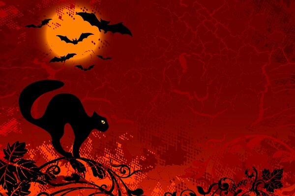 Halloween chat avec des chauves-souris