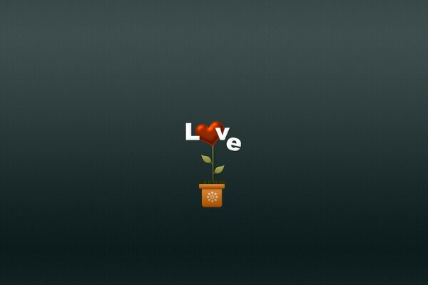 Love, drawing, vaso de plantas