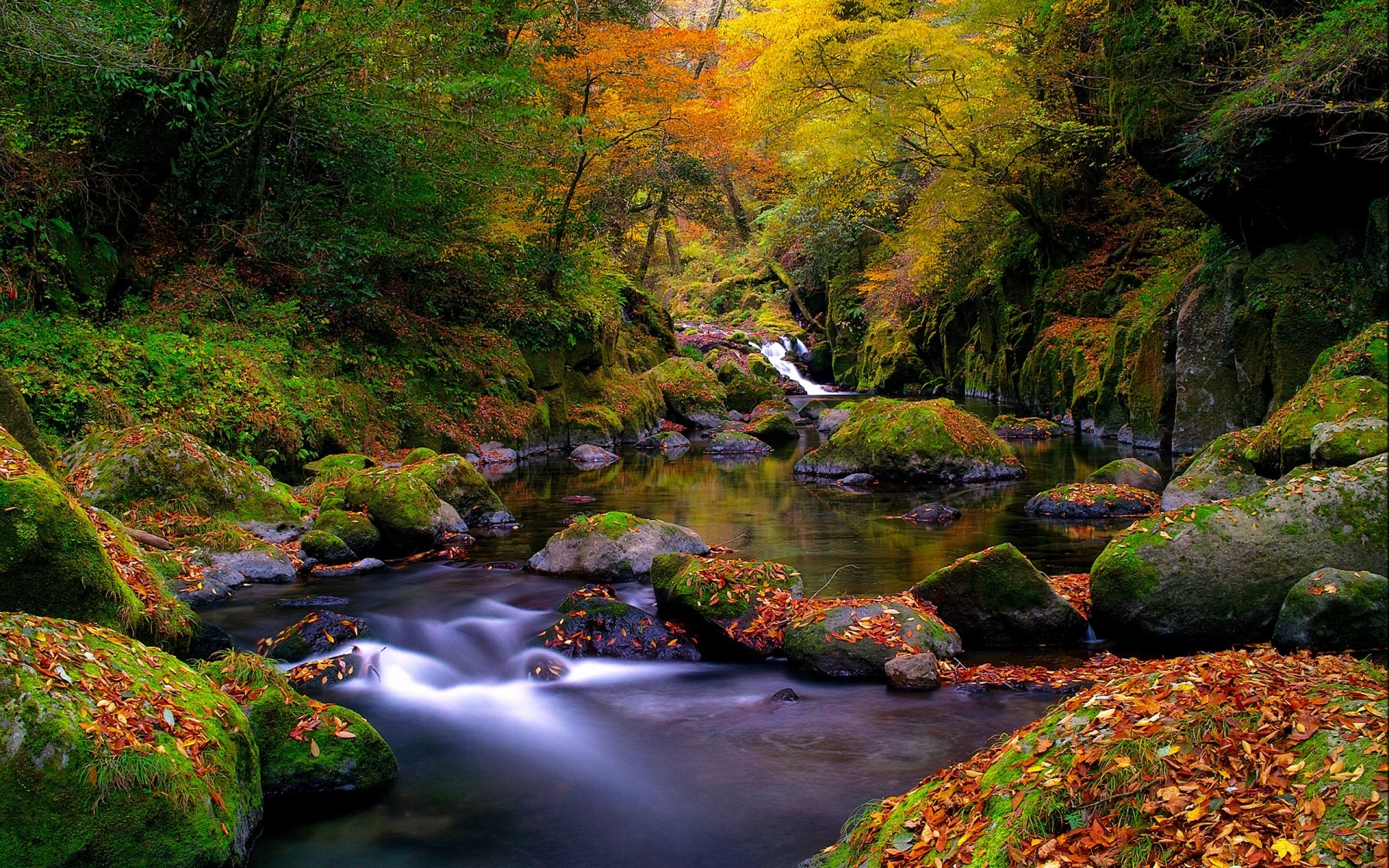 jesień jesień woda rzeka liść krajobraz natura drewno drzewo strumień wodospad na zewnątrz góry klon sceniczny park bujne podróże rock creek kamienie kaskada drzewa