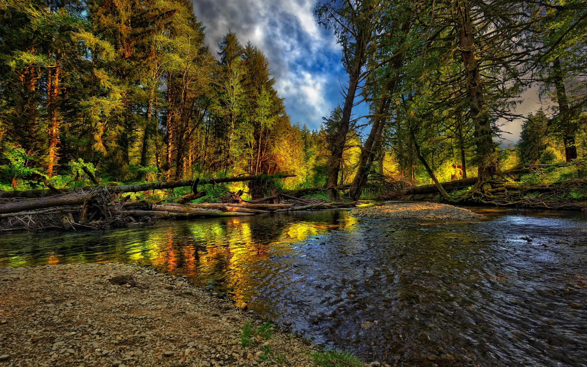 landscapes water nature fall landscape wood river tree outdoors lake leaf park reflection scenic travel stream fair weather trees scenery