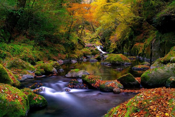 Bergfluss im Herbst manchmal