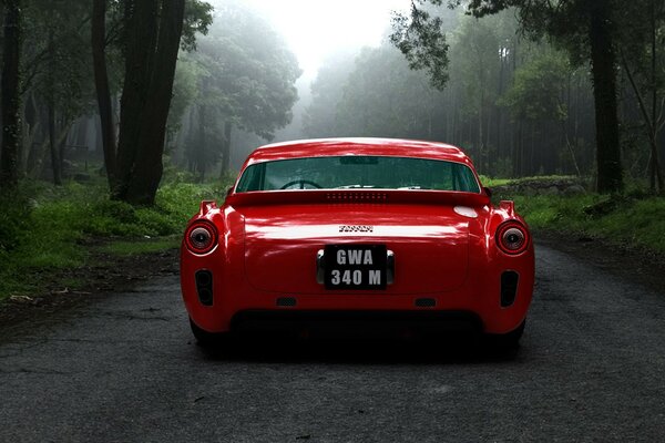 Coche rojo de lujo en el fondo del bosque