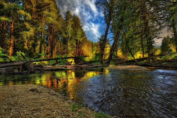 Discorso nella foresta d autunno