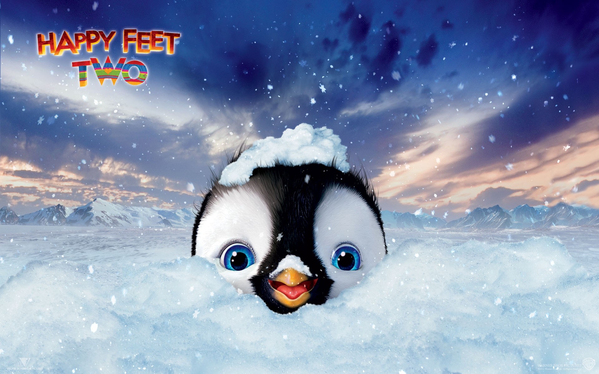 film neve inverno freddo natale all aperto divertimento natura ghiaccio gelido