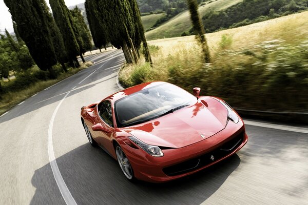 Un Ferrari de color rojo que corre por la carretera entre cipreses