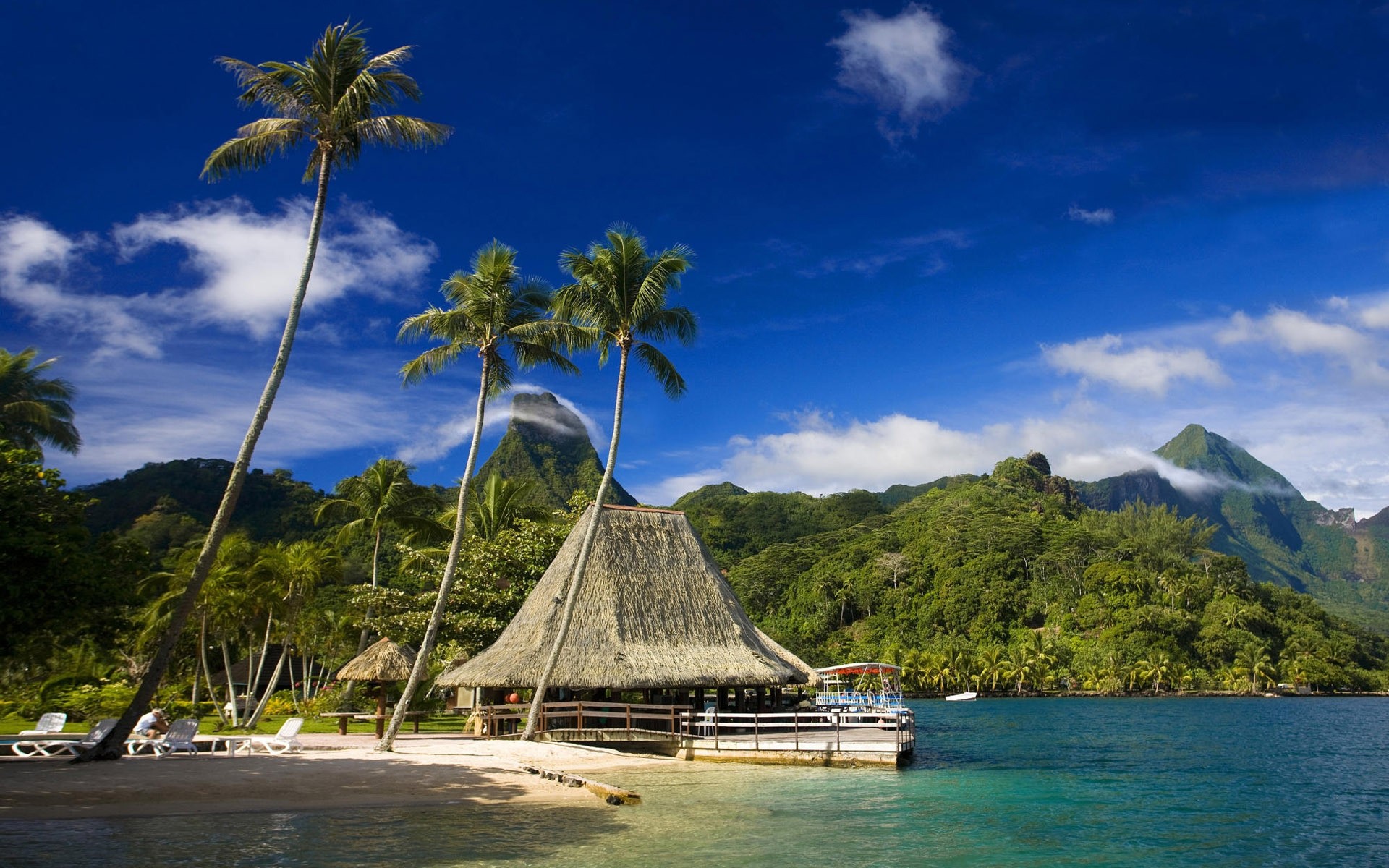 andere städte tropisch meer strand reisen wasser insel ozean urlaub exotisch idylle baum bucht sommer palmen meer himmel resort paradies sand pazifik palmen