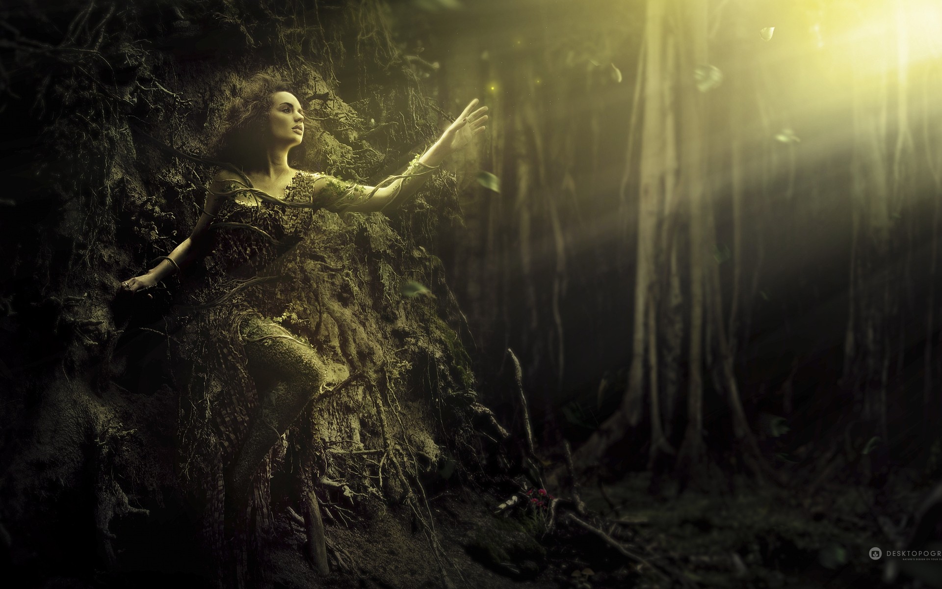 photo manipulation water underwater light nature wood forest