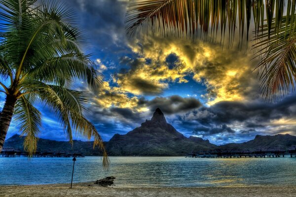 Palmen am Strand in der Abenddämmerung mit Blick auf den Berggipfel und die Bucht