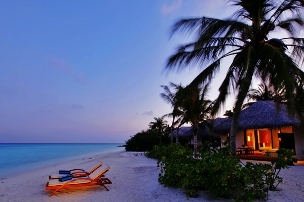 Tropical landscape of the sea beach