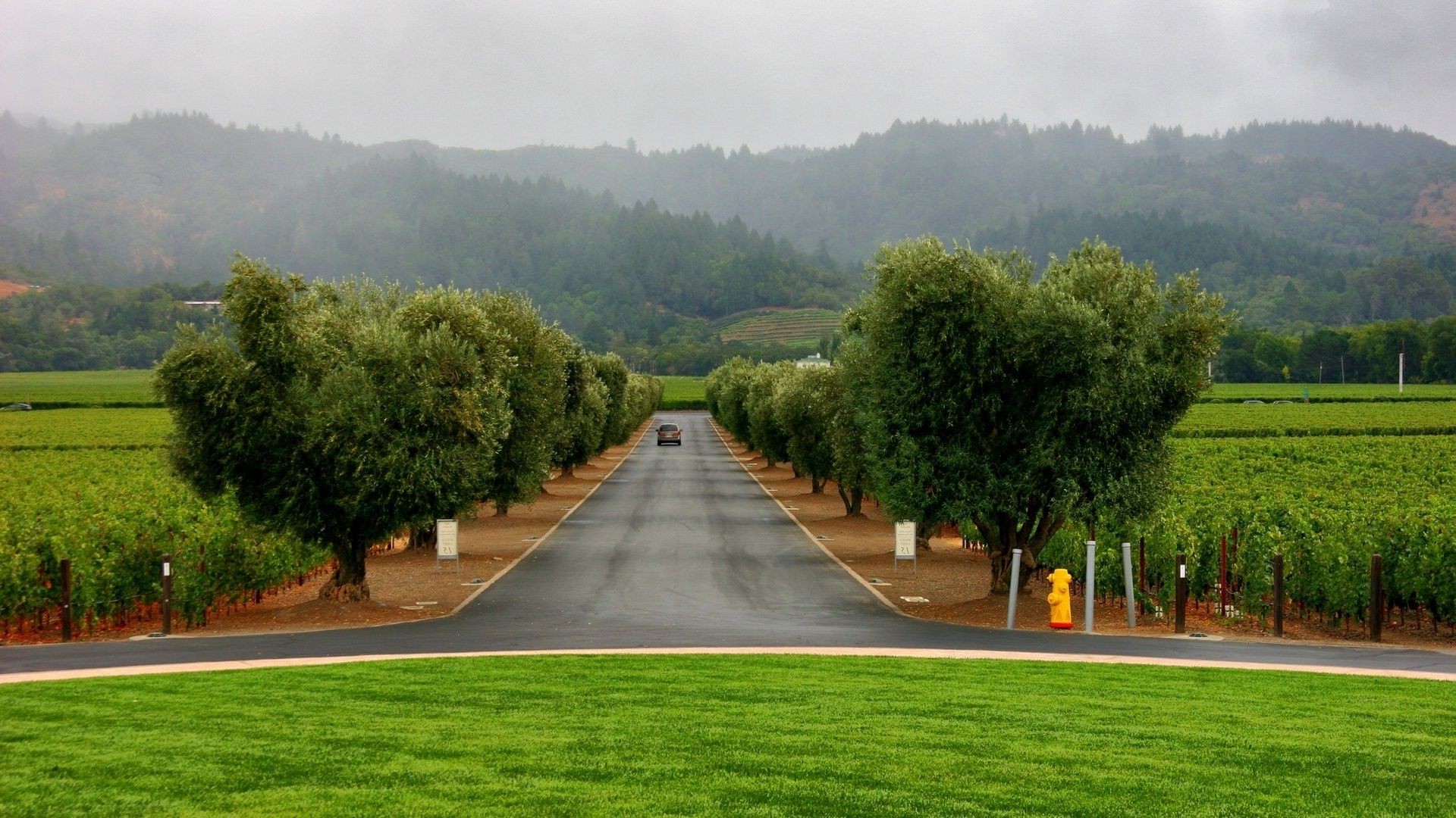 carretera árbol hierba paisaje guía naturaleza verano parque viajes césped jardín cielo madera país al aire libre rural escénico