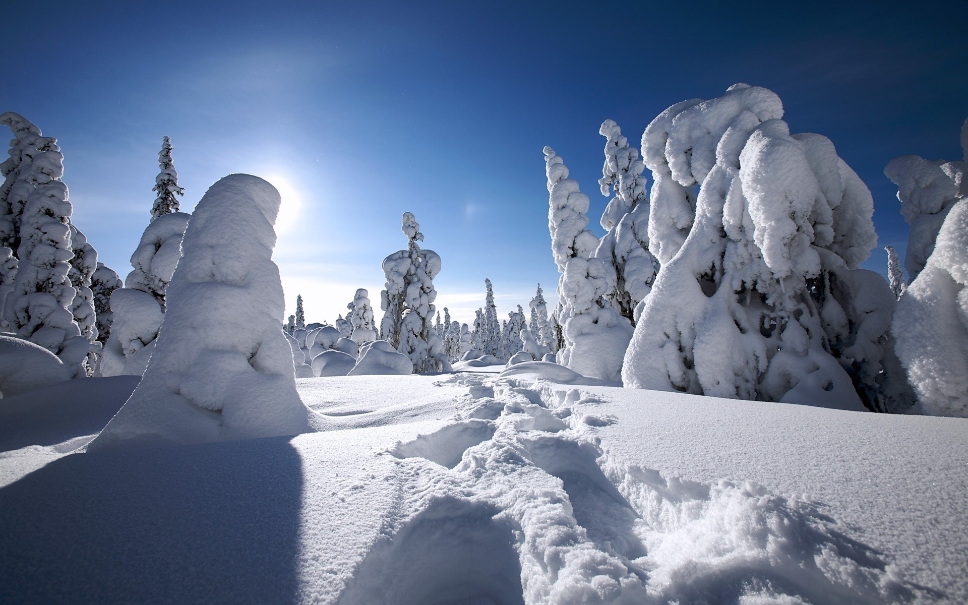 inverno neve gelo frio congelado geada montanhas paisagem gelado neve tempo cênica papel de parede de inverno paisagem de inverno