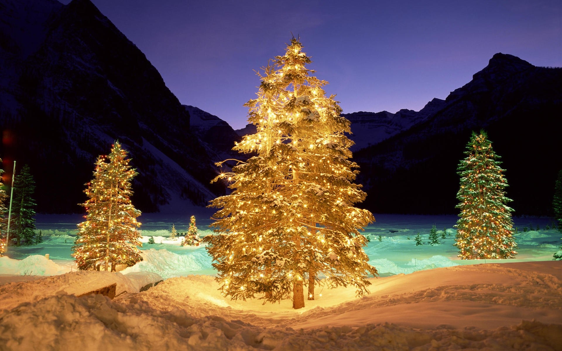 natale viaggi acqua natura albero all aperto cielo paesaggio scenico idillio neve inverno carta da parati carta da parati vacanza