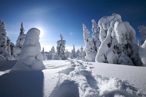 Paisajes invernales de los lugares