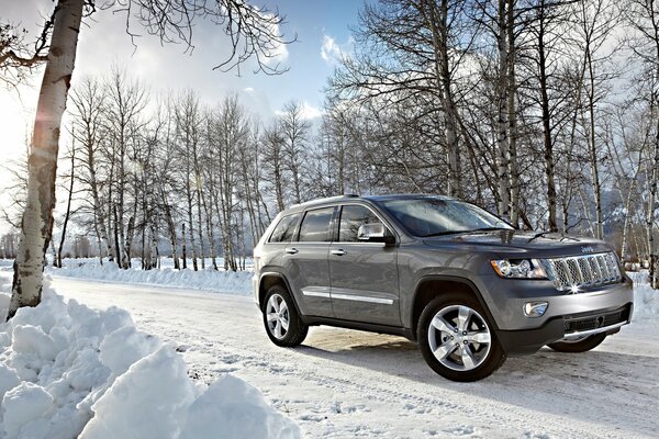 A car on a winter forest background