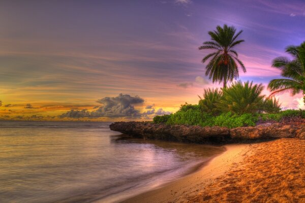 Sunset on the ocean in summer