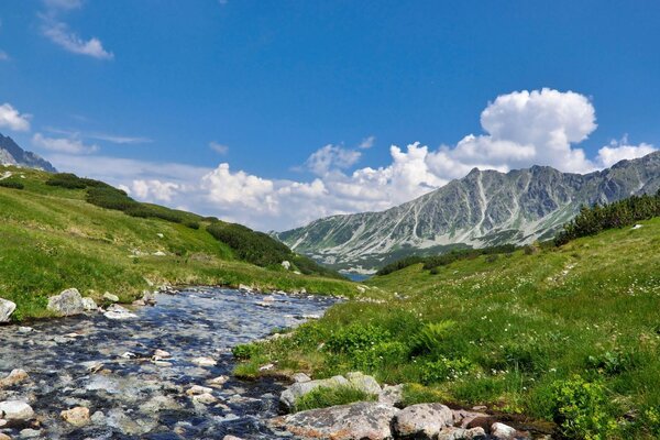 Landschaft eines sauberen Gebirgsflusses