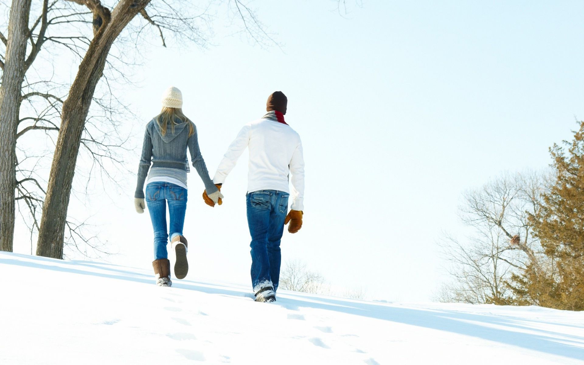 couples winter snow cold outdoors wood tree landscape daylight weather man ice togetherness nature frost frozen