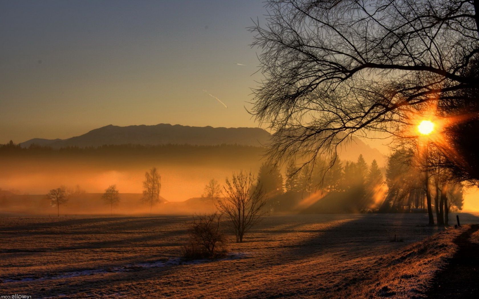 tramonto e alba tramonto alba paesaggio sera sole cielo natura albero crepuscolo inverno luce bel tempo all aperto autunno nebbia