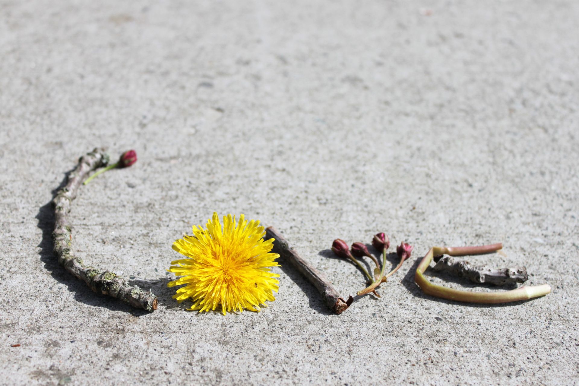 lettre plage sable nature de plein air