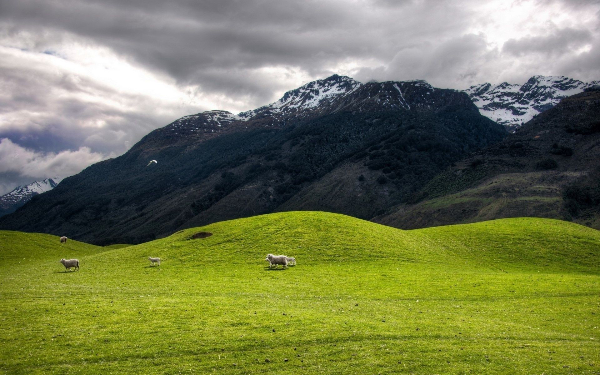 mountains landscape mountain grass nature outdoors travel hill pasture sky valley hayfield summer scenic sheep grassland