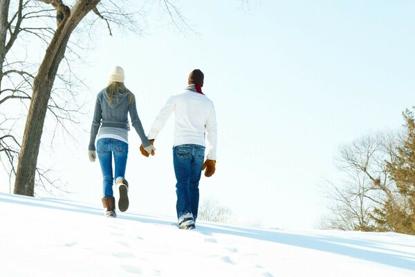 Morning walk through the winter forest