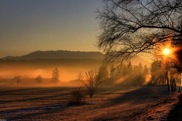 Beautiful evening view of the natural landscape