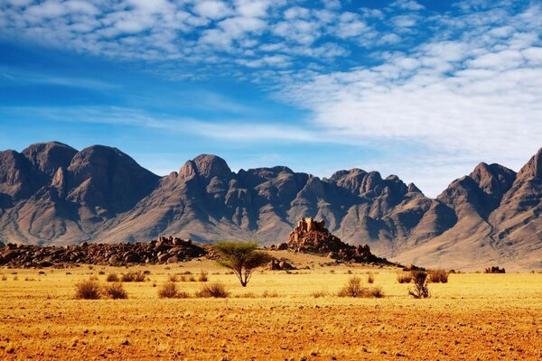 Paesaggio desertico con alte montagne