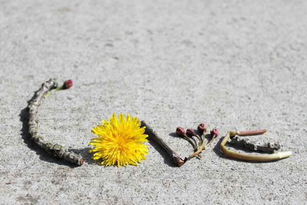 The inscription love from improvised materials in the sand