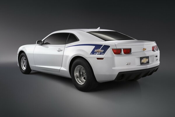 White sports car on a gray background