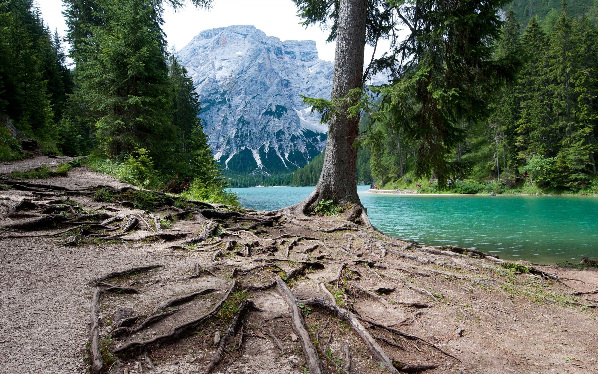 paisaje naturaleza árbol madera paisaje agua viajes verano al aire libre parque cielo escénico montaña roca hermoso paisaje espectáculo medio ambiente turismo pino lago bosque montaña