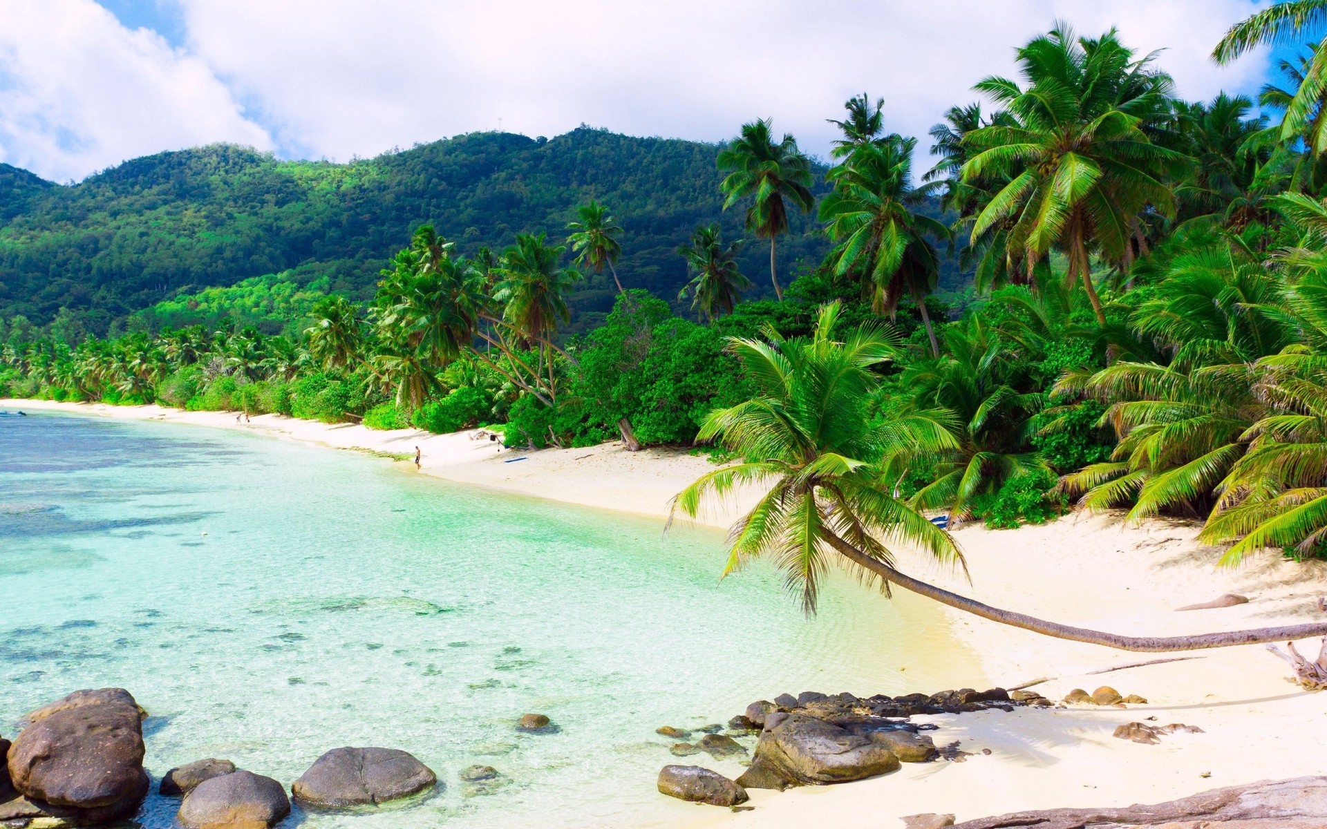 estate tropicale acqua spiaggia viaggi sabbia palme cocco paradiso esotico isola mare idillio vacanza oceano natura turchese relax laguna paesaggio mare