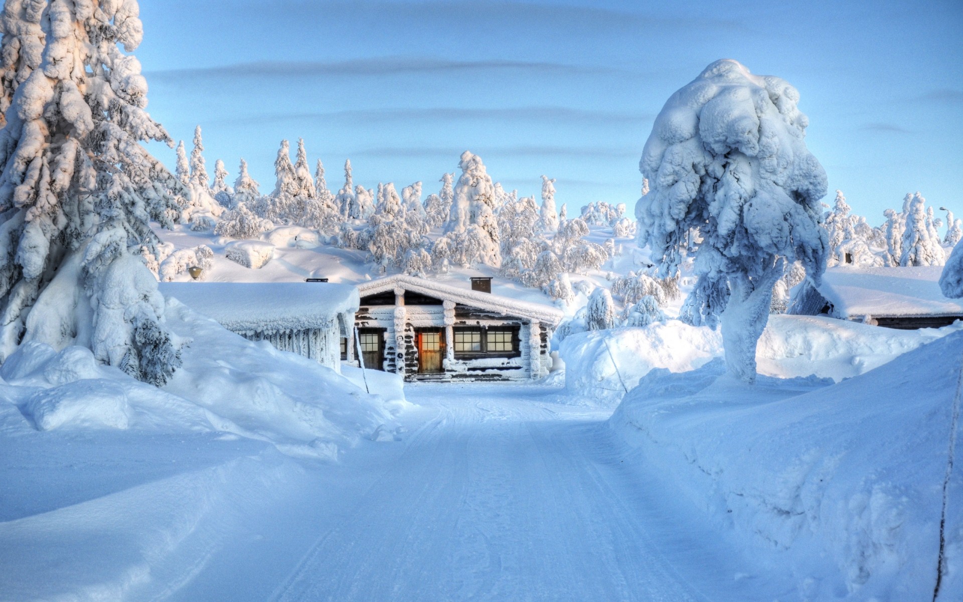 冬天 雪 冷 冰 冻结 山 木 霜 风景如画 白雪皑皑 天气 度假村 雪堆 季节 树木 冬季壁纸 山