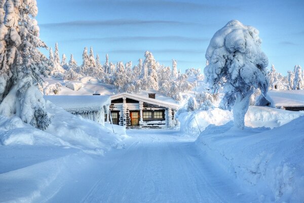 Strada per la casa in inverno nella foresta