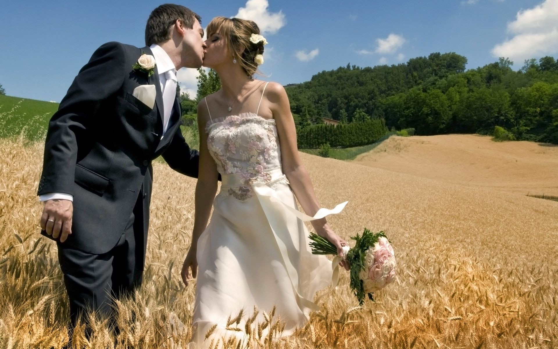 liebe und romantik bräutigam hochzeit liebe romantik glück braut kleid sommer im freien schleier paar natur einigkeit freude frau weizen zwei erwachsene gras