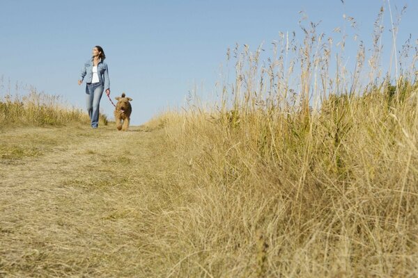 A girl with a dog. A walk in the field