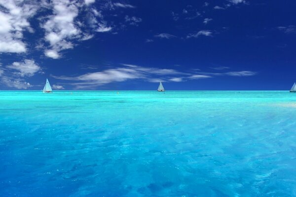 Laguna blu in viaggio verso l oceano