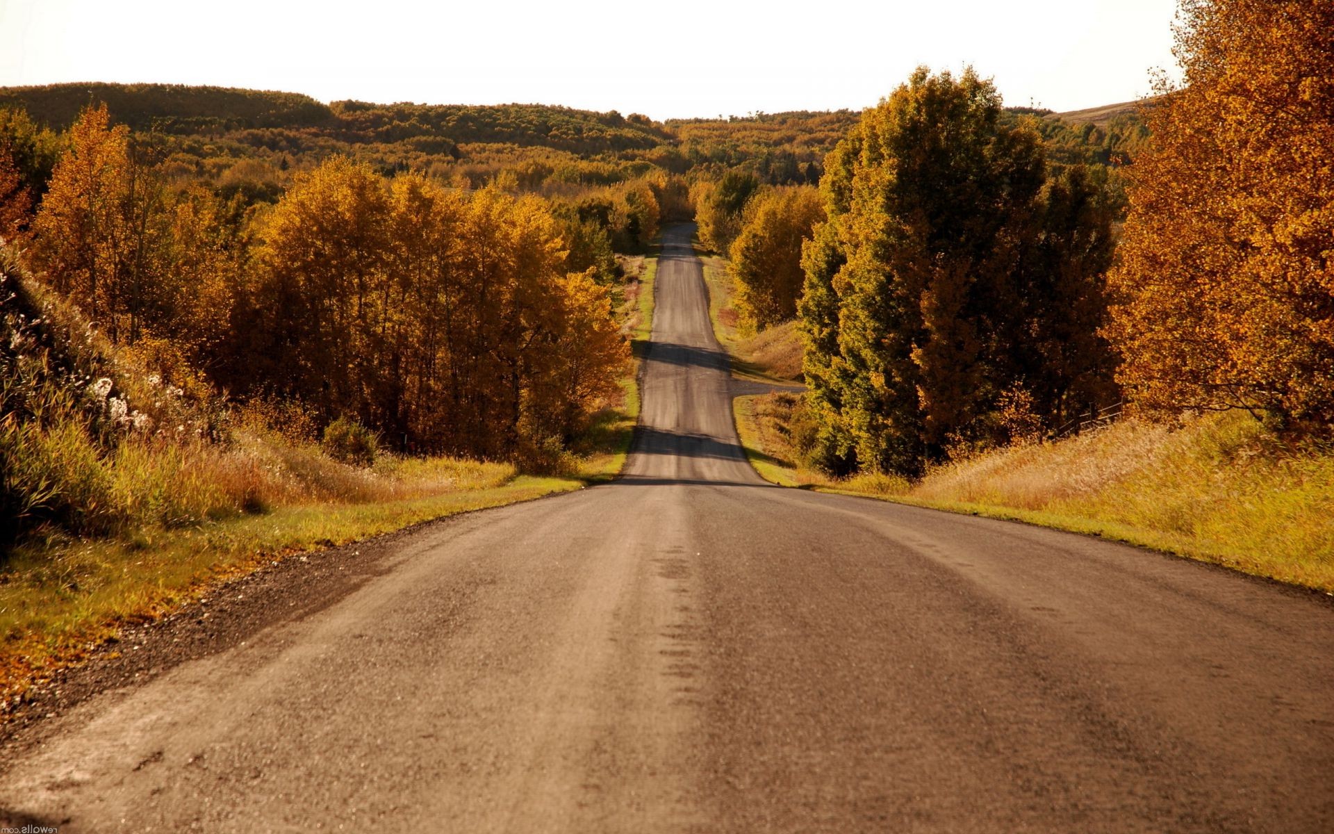 carretera árbol otoño paisaje guía naturaleza viajes cielo al aire libre madera carretera rural parque campo