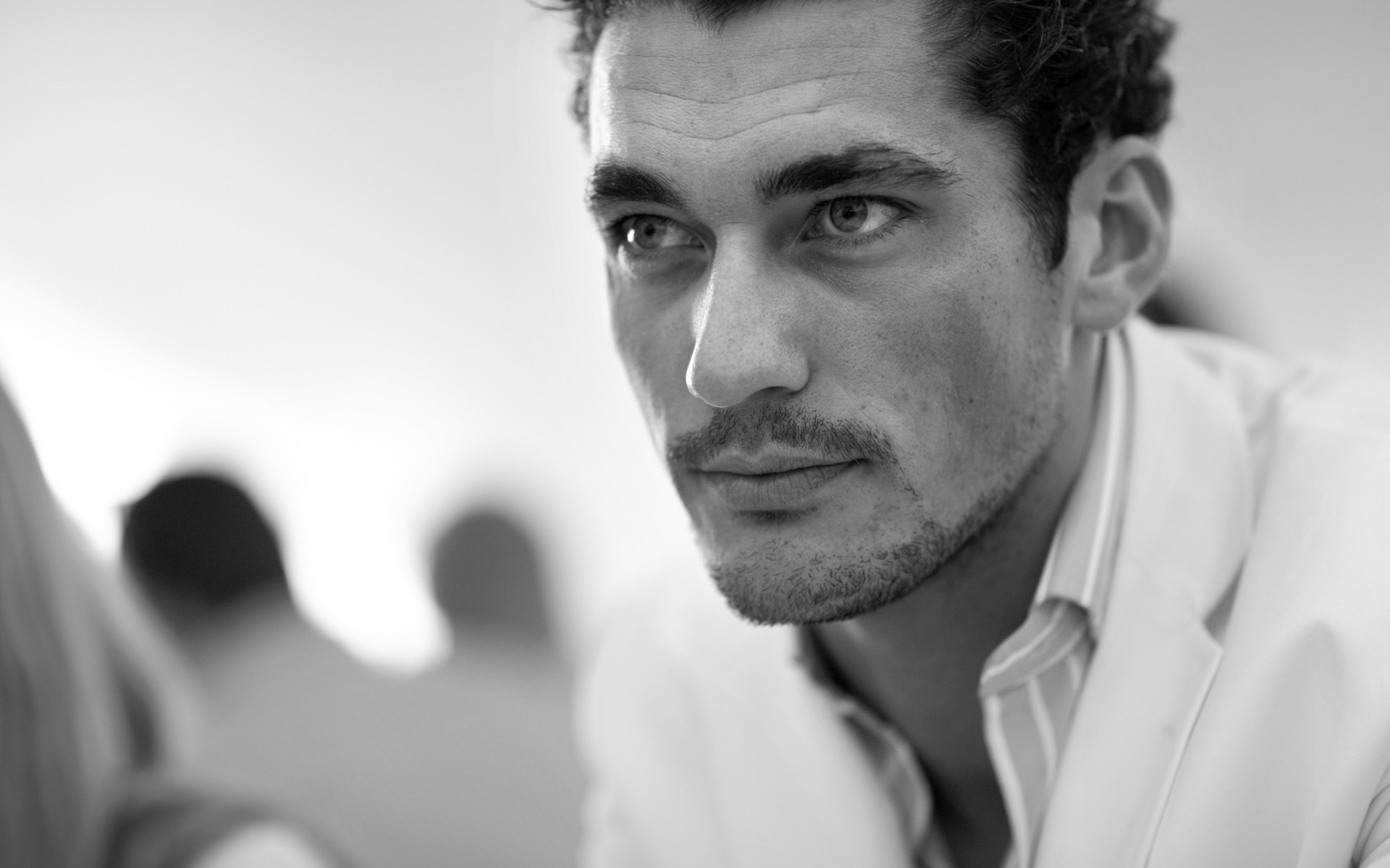 actors portrait man adult one monochrome actor face facial expression wear male black and white david gandy photo