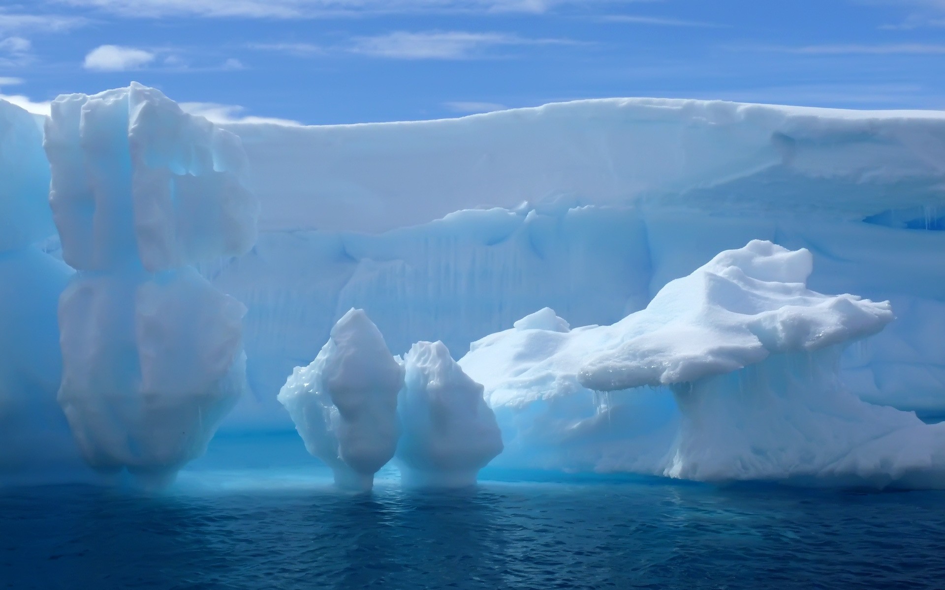 winter iceberg ice melting frosty swimming water snow glacier cold nature global warming climate change greenland outdoors frozen antarctic frost travel glacial