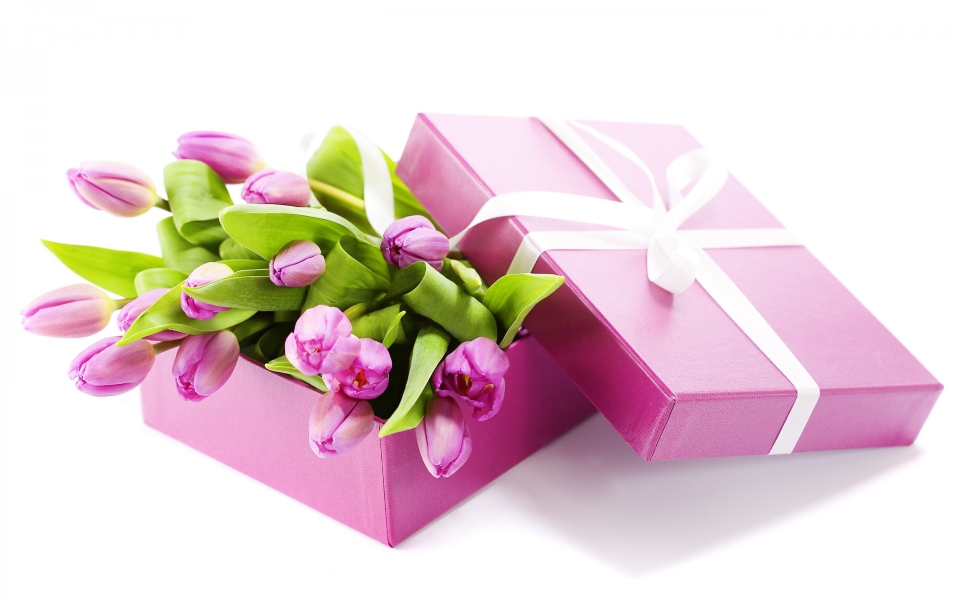 blumen geschenk geburtstag box faden jubiläum desktop urlaub dekoration bogen papier überraschung schön liebe isoliert lila tulpen